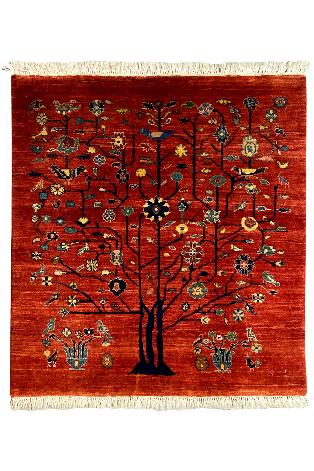 Qashqai Exklusiv 19863 - (106x103 cm) - Premium  from German Carpet Shop - Just €900! Shop now at German Carpet Shop