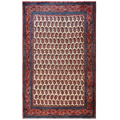 Arak Teppich - 308x197 cm