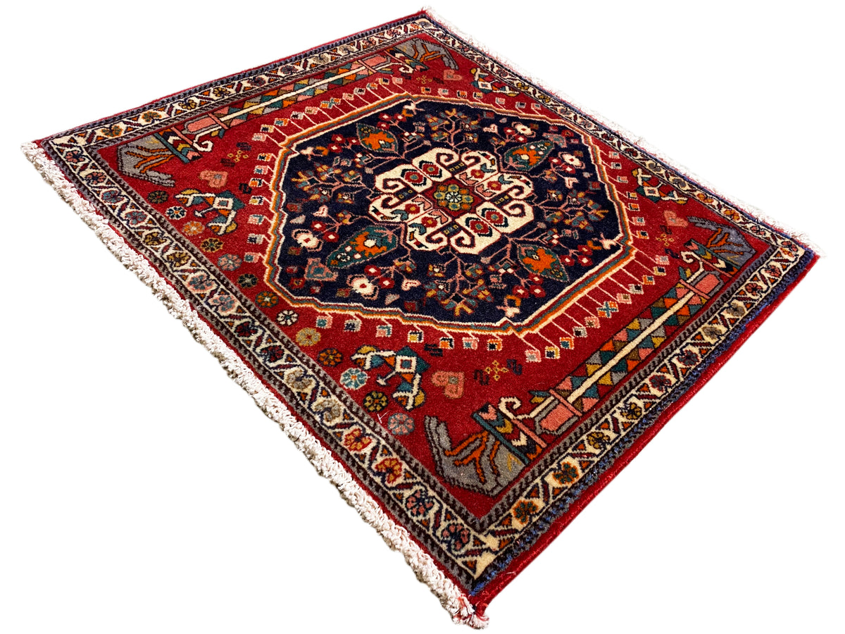 Alfombra de fondo rojo y medallón central oscuro, rectangular, rematada con flecos