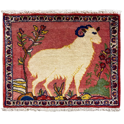 Alfombra Poshti - 54x48 cm